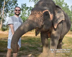 Заповедник слонов Elephant Jungle Sanctuary Pattaya - фото 151