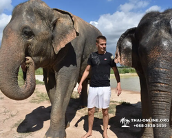 Заповедник слонов Elephant Jungle Sanctuary Pattaya - фото 294