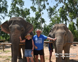 Заповедник слонов Elephant Jungle Sanctuary Pattaya - фото 81