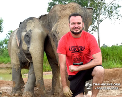 Заповедник слонов Elephant Jungle Sanctuary Pattaya - фото 404