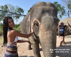 Заповедник слонов Elephant Jungle Sanctuary Pattaya - фото 84