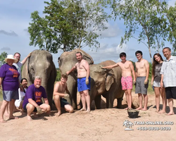 Заповедник слонов Elephant Jungle Sanctuary Pattaya - фото 123