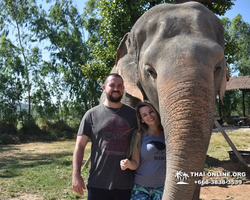 Заповедник слонов Elephant Jungle Sanctuary Pattaya - фото 21