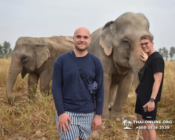 Заповедник слонов Elephant Jungle Sanctuary Pattaya - фото 864