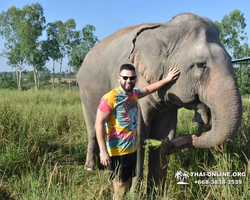 Заповедник слонов Elephant Jungle Sanctuary Pattaya - фото 25