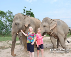 Заповедник слонов Elephant Jungle Sanctuary Pattaya - фото 680