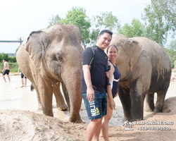 Заповедник слонов Elephant Jungle Sanctuary Pattaya - фото 394