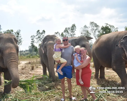 Заповедник слонов Elephant Jungle Sanctuary Pattaya - фото 435