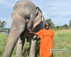 Заповедник слонов Elephant Jungle Sanctuary Pattaya - фото 363