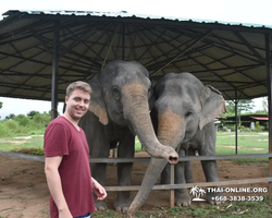 Заповедник слонов Elephant Jungle Sanctuary Pattaya - фото 878