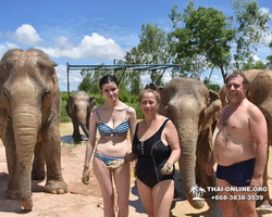 Заповедник слонов Elephant Jungle Sanctuary Pattaya - фото 365