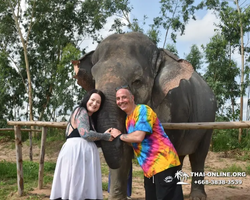 Заповедник слонов Elephant Jungle Sanctuary Pattaya - фото 126