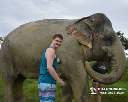 Заповедник слонов Elephant Jungle Sanctuary Pattaya - фото 990