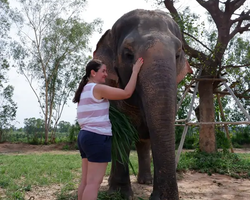 Заповедник слонов Elephant Jungle Sanctuary Pattaya - фото 65