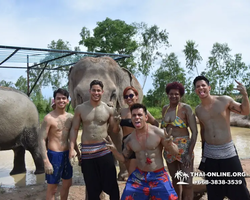 Заповедник слонов Elephant Jungle Sanctuary Pattaya - фото 434