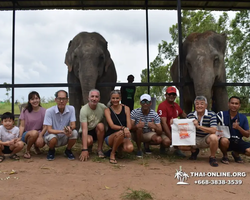 Заповедник слонов Elephant Jungle Sanctuary Pattaya - фото 682