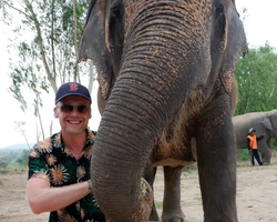 Заповедник слонов Elephant Jungle Sanctuary Pattaya - фото 428