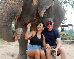 Заповедник слонов Elephant Jungle Sanctuary Pattaya - фото 462