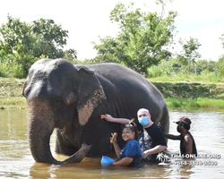 Заповедник слонов Elephant Jungle Sanctuary Pattaya - фото 431
