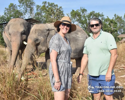Заповедник слонов Elephant Jungle Sanctuary Pattaya - фото 24
