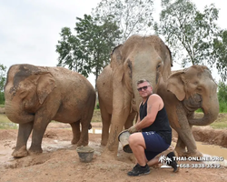 Заповедник слонов Elephant Jungle Sanctuary Pattaya - фото 164