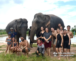 Заповедник слонов Elephant Jungle Sanctuary Pattaya - фото 755