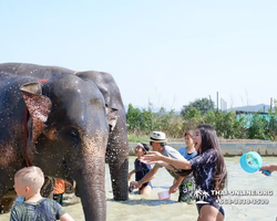 Заповедник слонов Elephant Jungle Sanctuary Pattaya - фото 698