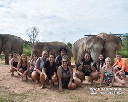 Заповедник слонов Elephant Jungle Sanctuary Pattaya - фото 664