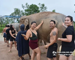 Заповедник слонов Elephant Jungle Sanctuary Pattaya - фото 729