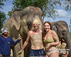 Заповедник слонов Elephant Jungle Sanctuary Pattaya - фото 489