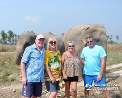 Заповедник слонов Elephant Jungle Sanctuary Pattaya - фото 536