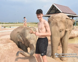 Заповедник слонов Elephant Jungle Sanctuary Pattaya - фото 986