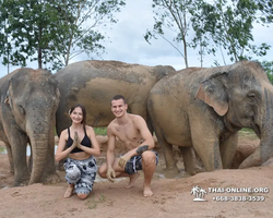 Заповедник слонов Elephant Jungle Sanctuary Pattaya - фото 170