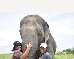 Заповедник слонов Elephant Jungle Sanctuary Pattaya - фото 1113