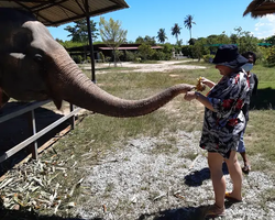 Заповедник слонов Elephant Jungle Sanctuary Pattaya - фото 7