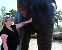 Заповедник слонов Elephant Jungle Sanctuary Pattaya - фото 997