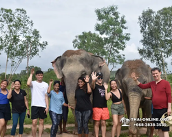 Заповедник слонов Elephant Jungle Sanctuary Pattaya - фото 329