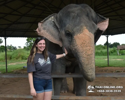 Заповедник слонов Elephant Jungle Sanctuary Pattaya - фото 994