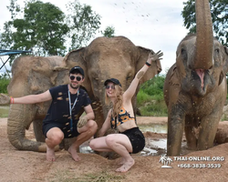 Заповедник слонов Elephant Jungle Sanctuary Pattaya - фото 188