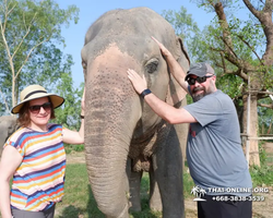 Заповедник слонов Elephant Jungle Sanctuary Pattaya - фото 293