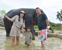 Заповедник слонов Elephant Jungle Sanctuary Pattaya - фото 877