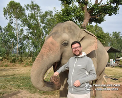 Заповедник слонов Elephant Jungle Sanctuary Pattaya - фото 55