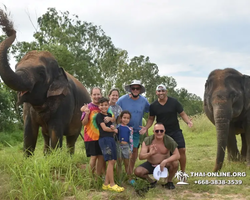 Заповедник слонов Elephant Jungle Sanctuary Pattaya - фото 661