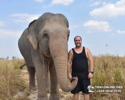 Заповедник слонов Elephant Jungle Sanctuary Pattaya - фото 870