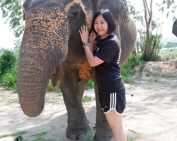 Заповедник слонов Elephant Jungle Sanctuary Pattaya - фото 259