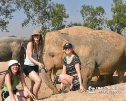 Заповедник слонов Elephant Jungle Sanctuary Pattaya - фото 223