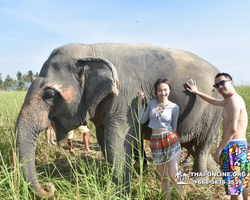 Заповедник слонов Elephant Jungle Sanctuary Pattaya - фото 203