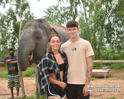 Заповедник слонов Elephant Jungle Sanctuary Pattaya - фото 339