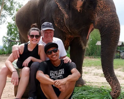Заповедник слонов Elephant Jungle Sanctuary Pattaya - фото 444