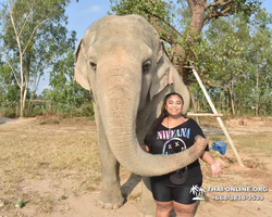 Заповедник слонов Elephant Jungle Sanctuary Pattaya - фото 39